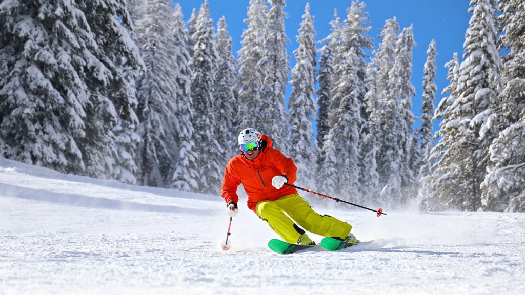 279428663 10158866443412684 7982157880856930042 n