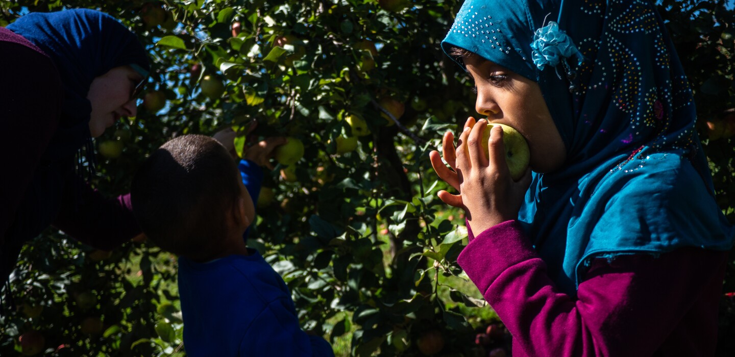 75f91f254731e5d2c6dadb0baf35dd6c binary 5158201